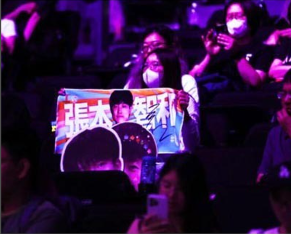 看张本宇的, 张本智和的