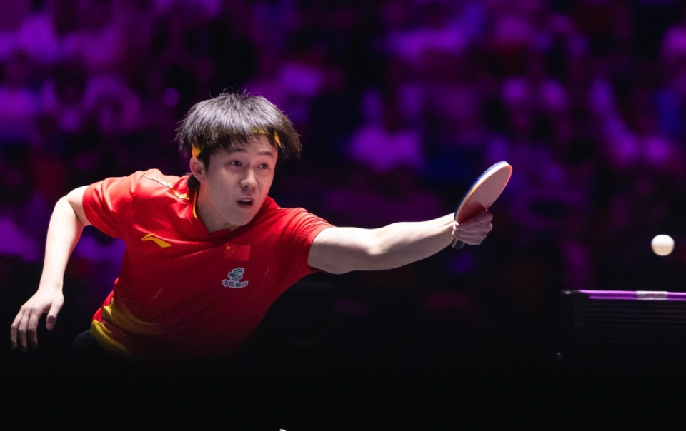 都是王楚钦 都是王楚钦